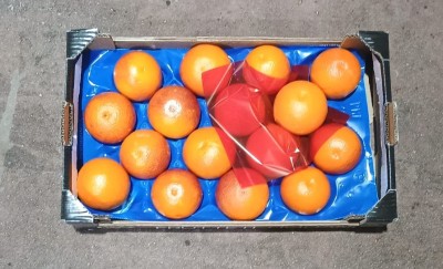 Foto Arance Tarocco Varietà Ippolito Calibro 4 Origine Italia Marchio Frutteti Siciliani  3